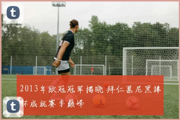2013年欧冠冠军揭晓 拜仁慕尼黑捧杯成就赛季巅峰